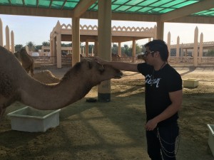 359 - William meeting the camels.  In case you're curious, their hair is very coarse